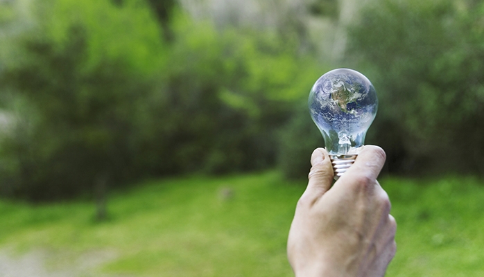 Biodiversité : accord européen sur un texte pour restaurer la nature